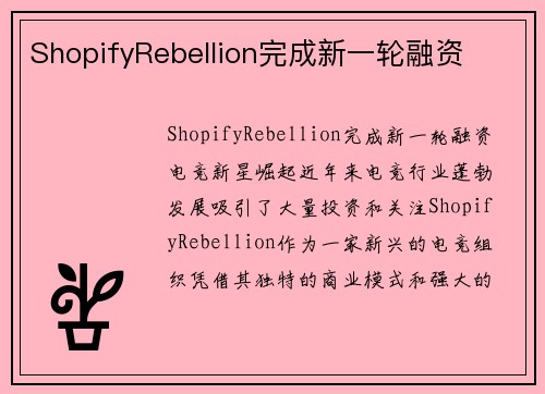ShopifyRebellion完成新一轮融资