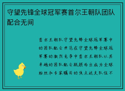 守望先锋全球冠军赛首尔王朝队团队配合无间